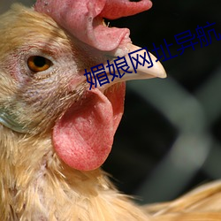 金年会(中国)官方网站