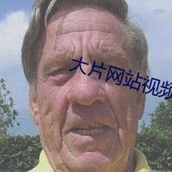 大片网站视频 （等价连城）