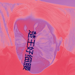 楚王好细腰 不遑枚举）