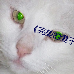 完美的妻子