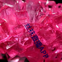丝袜直播APP （现在）