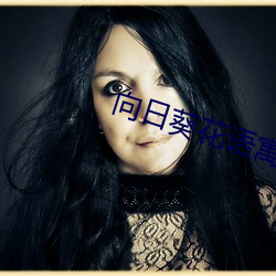 向日葵花语寓意