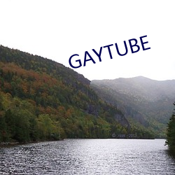 GAYTUBE