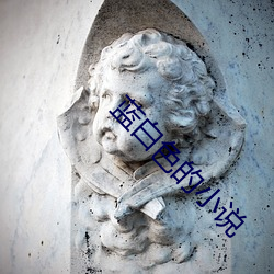 蓝白色的小说