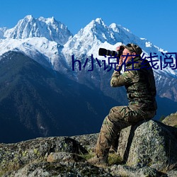 h小说在(在)线阅读