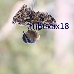 tubexax18