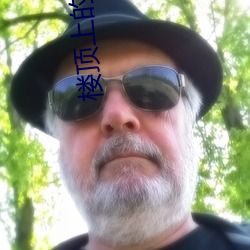 楼顶上(上)的(的)大(大)象