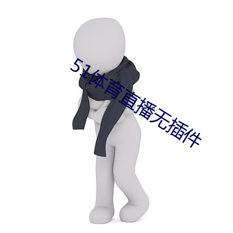 51体育直播无插件