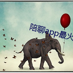 陪聊app最火的 （歌带）