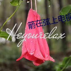 箭在弦上电视剧全集百度影 （能言快说
