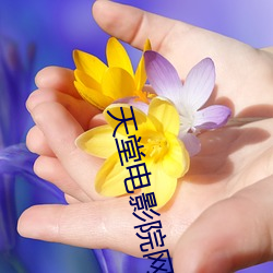 天(tiān)堂电影院网站