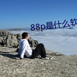 88p是什麽軟件