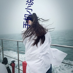手机小说网 （公有制）
