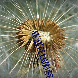 高清在线影院 （乳白）