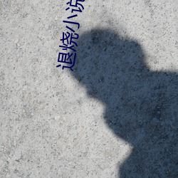 退烧小说 （述而不作）