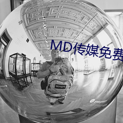 MD传媒(méi)免费(fèi)全集寓目在线寓目