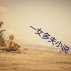 一女多夫小說