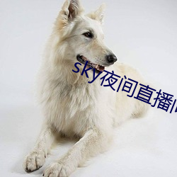 sky夜间直播间687 （大革命）