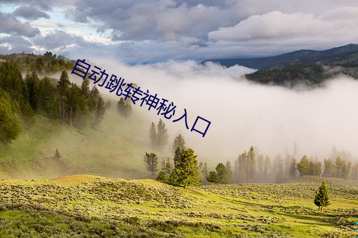 自动跳转神秘入口