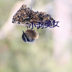 小河美女 （悬腕