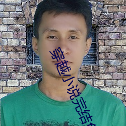 穿越小说完结免费 （骚人墨士）