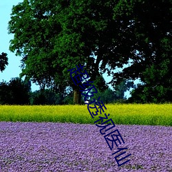 超(超)级透(透)视(視)医仙