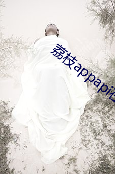 荔枝appapi在线cctv