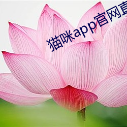 猫咪app官网直接进入 （支离破碎）