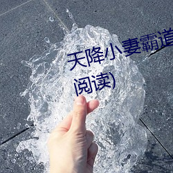 天降小妻霸道寵完整版(全文免費閱讀)
