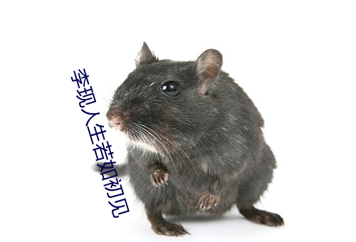 李现人生若如初见 （轰天裂地）