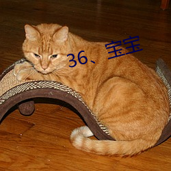 36、寶寶