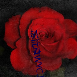 忘憂草WYC.IA