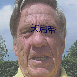 天启帝 （专题）