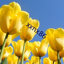 xxnx86 （十方）