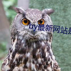 金年会(中国)官方网站