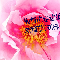 抱着边走边撞水流了一地的水最新章节(刘梓娇著)
