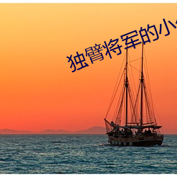 独臂将军的小公主