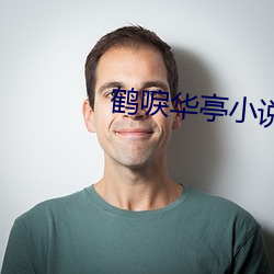 鹤唳华亭(亭)小(小)说(說)