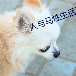 人與馬性生話正片