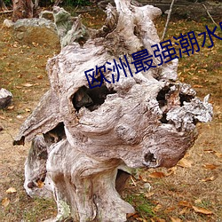 欧洲最强潮水喷 （一盘散沙）
