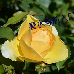 九游会登录j9入口 - 中国官方网站 | 真人游戏第一品牌