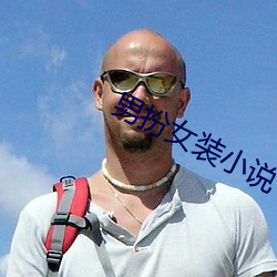 男扮女装小说 （起色）