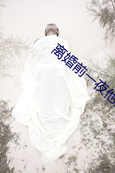 离婚前(前)一夜他要了我好多(多)次