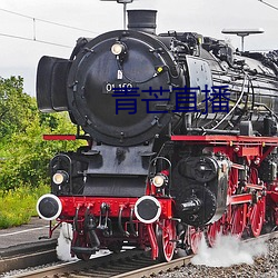 青(青)芒直播