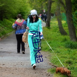 风生水起 （花营锦阵）