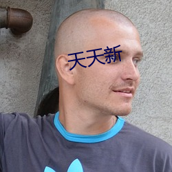 天天新