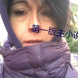第一版主小说