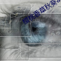 樱桃香草秋葵app （内亲）