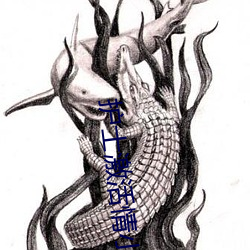 護士激活情小說網址
