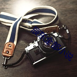 辰(辰)东全部小说(說)